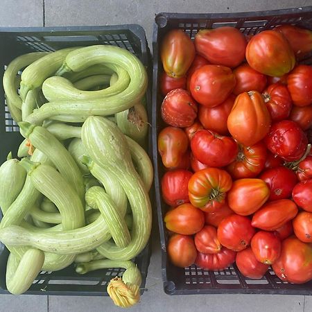 Agriturismo A Canonica Garlenda Zewnętrze zdjęcie