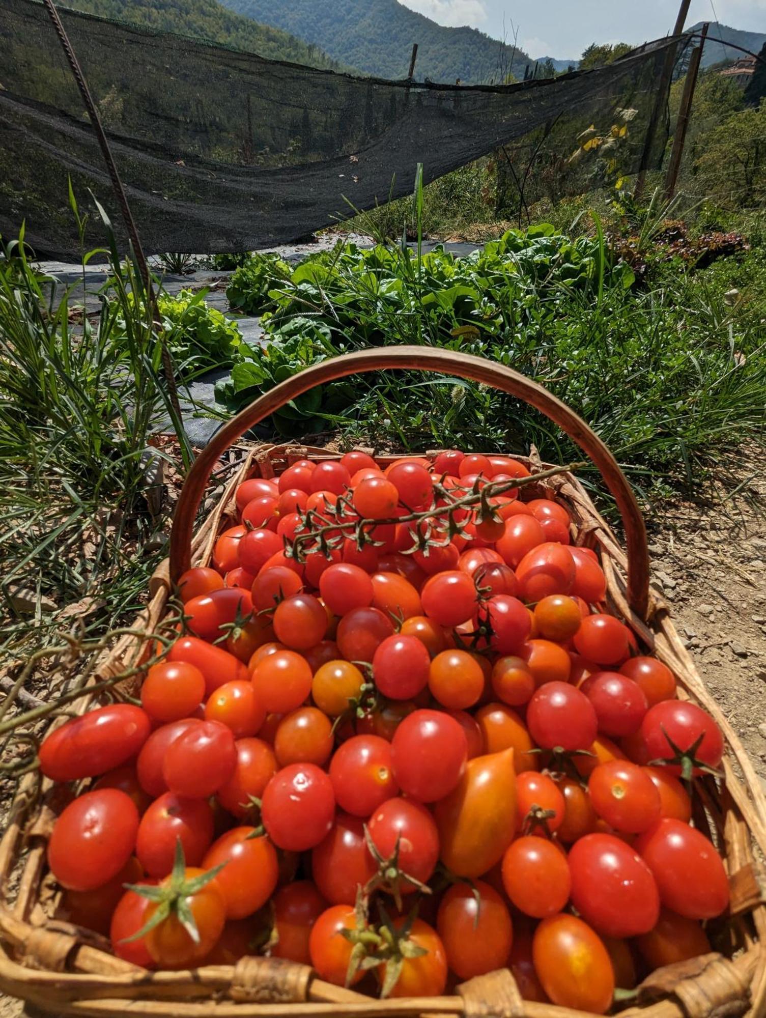Agriturismo A Canonica Garlenda Zewnętrze zdjęcie