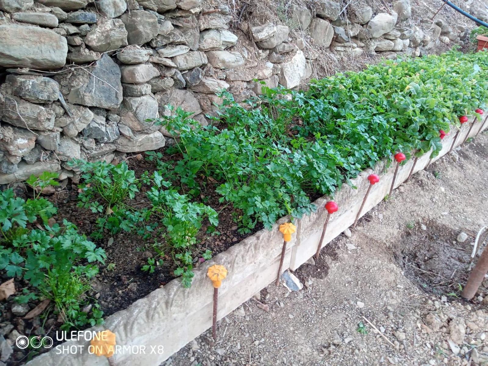 Agriturismo A Canonica Garlenda Zewnętrze zdjęcie