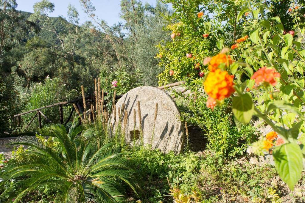Agriturismo A Canonica Garlenda Zewnętrze zdjęcie