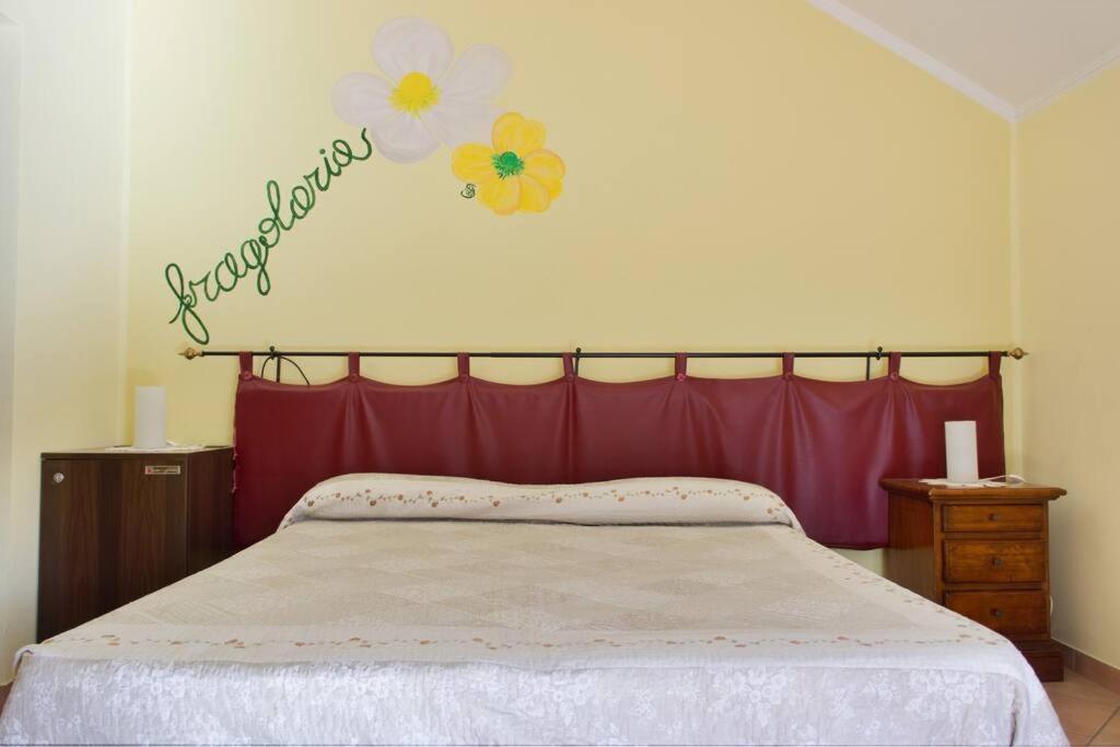 Agriturismo A Canonica Garlenda Zewnętrze zdjęcie